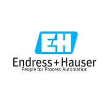 endress hauser