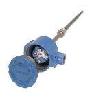 ترانسمیتر دما / 248 Head Mount